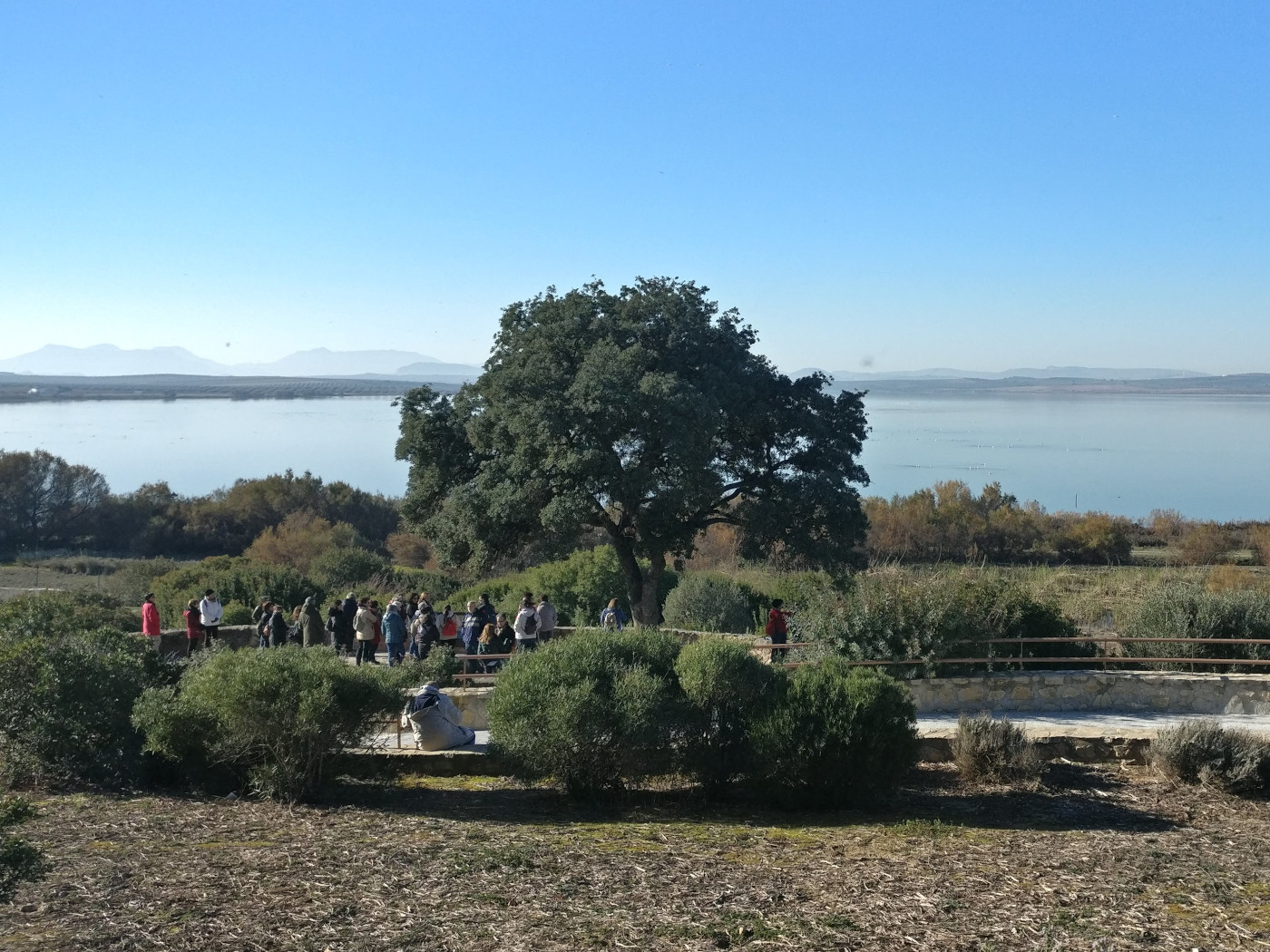 Guided tour in Cerro del Palo viewpoint