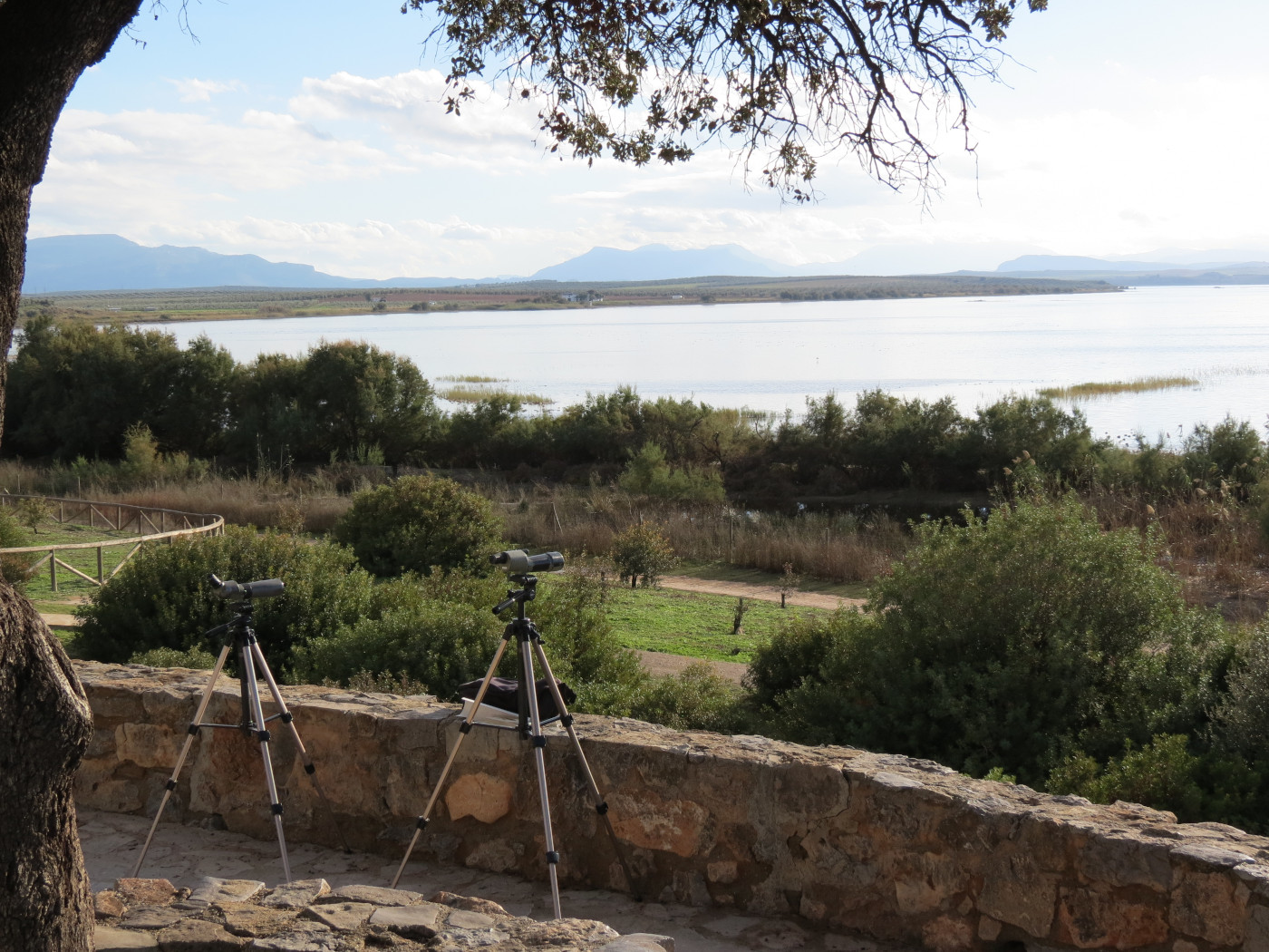 Telescopes used during our guided tours